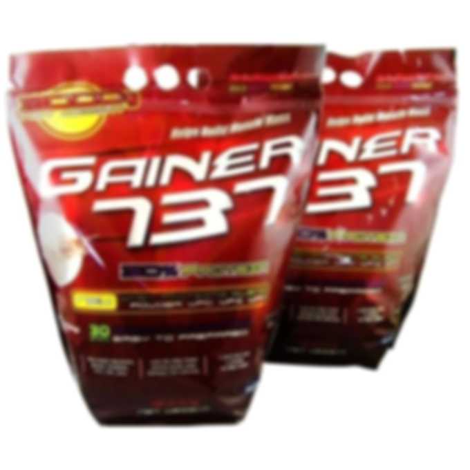 Gainer 737